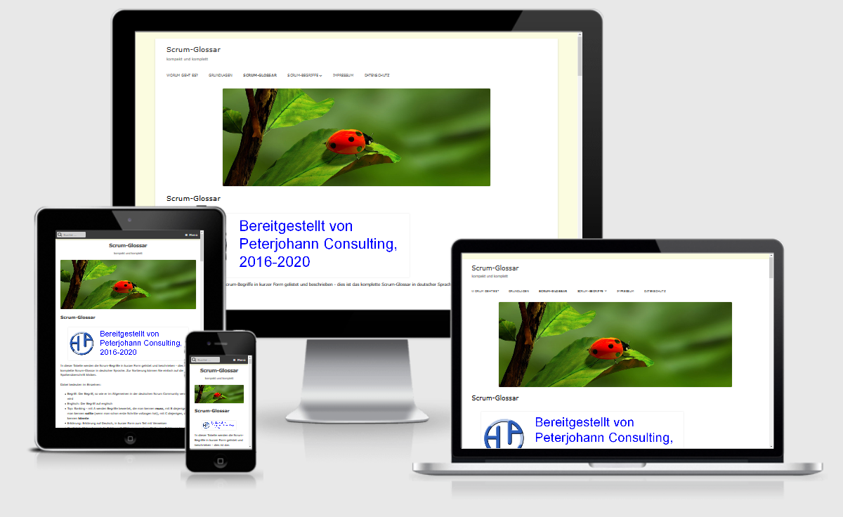 Webdesign Münster-Osnabrück: Referenz Scrum-Glossar